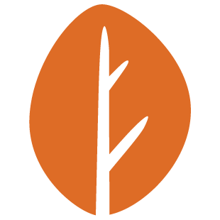 friendvibespace.com favicon